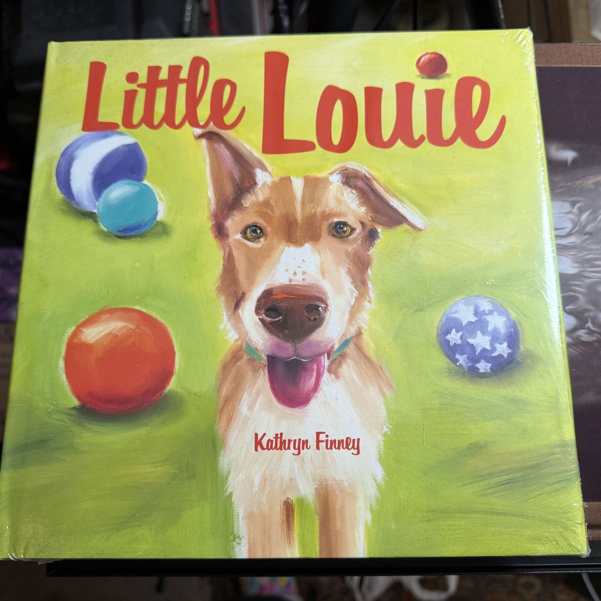 Little Louie: Colorful Children’s Book by Kathryn Finney