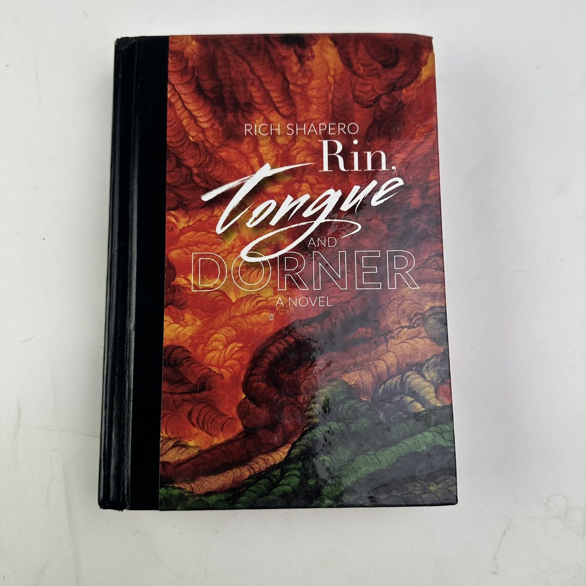 Rin, Tongue & Dörner: A Powerful, Vivid Literary Novel